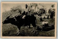 Foto AK Ochsenschlitten Tracht