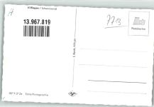 78183 W7713 Hüfingen Foto AK Blumenteppich zu Fronleichnam