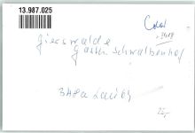 37170 W3418 Gierswalde FOTO KEINE AK Gasthaus Schwalbenhof Oldtimer Ort handschriftlich