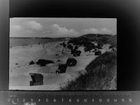 25992 W2282 List , Sylt GLASNEGATIV Strand