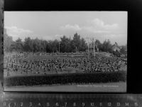 61440 W6370 Oberursel (Taunus) GLASNEGATIV Schwimmbad