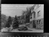 59969 W5789 Liesen GLASNEGATIV Pension am Steinschab