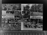 31832 W3213 Eldagsen , Deister GLASNEGATIV Wald Gaststätte Holzmühle