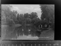 59269 W4720 Beckum , Westf GLASNEGATIV Parkanlagen Westteich