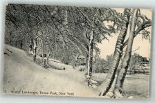 New York City Winter Bronx Park