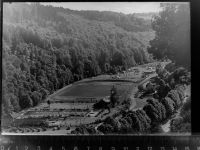 53937 W5372 Schleiden , Eifel GLASNEGATIV