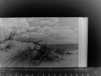 26465 W2941 Langeoog GLASNEGATIV