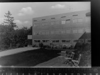 53797 W5204 Donrath GLASNEGATIV