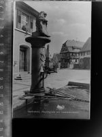 74821 W6950 Neckarelz GLASNEGATIV Marktplatz m. Löwenbrunnen