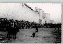 Aigues-Mortes Torero Stierkampf