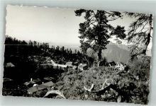 Krippenstein Foto AK Gasthaus Berghäuser Krippenbrunn