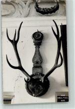 Hall in Tirol Geweih Jagd