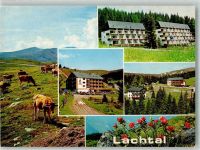8831 Schönberg-Lachtal Foto AK Hotel Lachtalhaus
