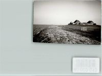 25859 W2251 Hooge , Hallig FOTO KEINE AK