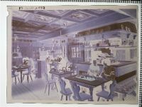 10115 W1000 Berlin, unsortiert Kunststoff-Negativ / Dia-Positiv KEINE AK