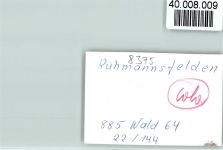 94239 W8375 Ruhmannsfelden FOTO KEINE AK Rathaus
