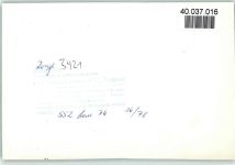 37449 W3421 Zorge FOTO KEINE AK Ententeich