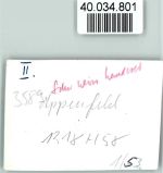 34593 W3589 Appenfeld FOTO KEINE AK
