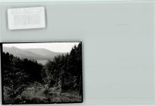 32676 W4927 Elbrinxen FOTO KEINE AK Wald
