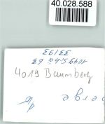 W4019 Baumberg , Rheinl Rotes Kreuz Zelte Rotes Kreuz FOTO KEINE AK
