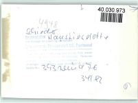 32816 W4938 Schieder FOTO KEINE AK Haus Lieselotte