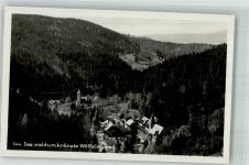 Wölfelsgrund Miedzygorze Foto AK Glatzer Bergland