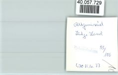 26409 W2944 Altfunnixsiel FOTO KEINE AK Lütjeland