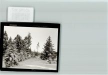 38667 W3396 Torfhaus , Harz FOTO KEINE AK Winterwald