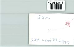 54550 W5568 Daun FOTO KEINE AK Ortsansicht