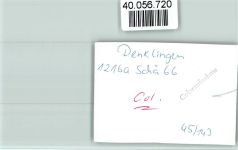 51580 W5226 Denklingen , Oberberg Kr FOTO KEINE AK Internat