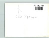 25845 W2251 Pellworm FOTO KEINE AK Gastraum Innenaufnahme