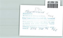 87509 W8970 Thanners i Allgäu FOTO KEINE AK Tanne