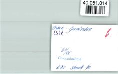 54550 W5568 Daun FOTO KEINE AK