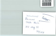 49401 W2845 Damme , Dümmer FOTO KEINE AK Kath. Heim