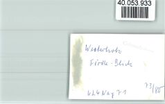 24977 W2391 Westerholz b Langballig FOTO KEINE AK Fördeblick
