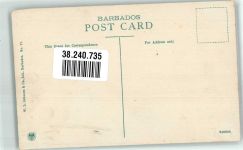 Bridgetown Foto AK Wald Barbabos