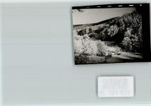 37603 W3450 Holzminden FOTO KEINE AK Winter