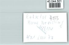 32699 W4923 Extertal FOTO KEINE AK Haus Breiding