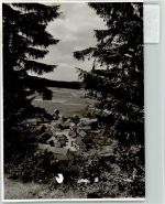 34593 W3589 Appenfeld FOTO KEINE AK