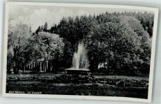Bad Reinerz Duszniki Zdroj 1940 Foto AK Kurpark
