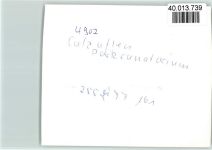 32105 W4902 Bad Salzuflen FOTO KEINE AK Luftaufnahme Parksanatorium