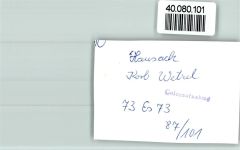 77756 W7613 Hausach , Schwarzwaldbahn FOTO KEINE AK Korb Wetzel