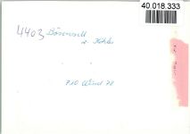 48607 W4434 Ochtrup FOTO KEINE AK Hotel Brinckwirth