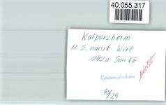 53474 W5483 Walporzheim FOTO KEINE AK Ortsansicht