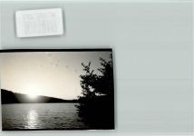 54550 W5568 Daun FOTO KEINE AK Sonnenuntergang