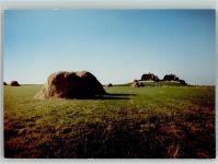 25859 W2251 Hooge , Hallig FOTO KEINE AK Heuhaufen