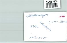 W6933 Waldleiningen , Baden Schloß Gemälde FOTO KEINE AK