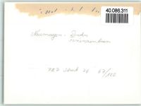 54347 W5507 Neumagen FOTO KEINE AK Ferienzentrum