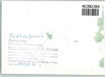 92363 W8431 Breitenbrunn , Oberpf FOTO KEINE AK Gasthof Post