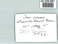 27607 W2857 Imsum FOTO KEINE AK Wursterlandhaus